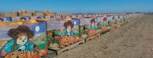 A row of pumpkins painted with scarecrows on them.