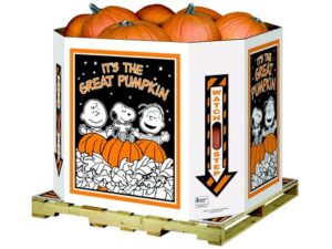 Pumpkin Bin