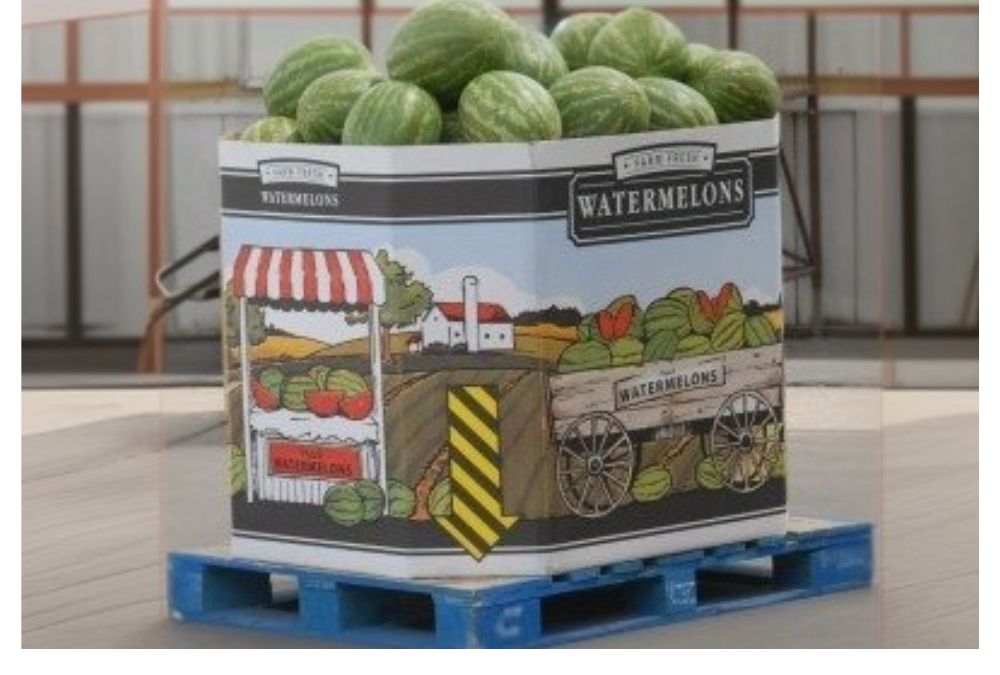 watermelon bin